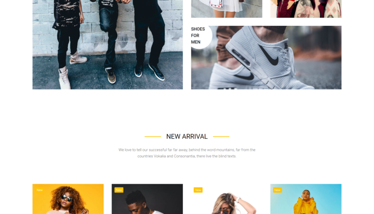 eCommerce Website in WordPress/WooCommerce